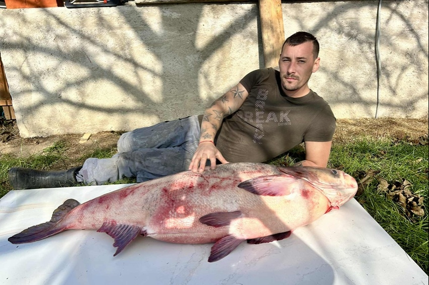 Megérkezett a partra, két perc múlva már a tó veteránjával küzdött – fotókkal 