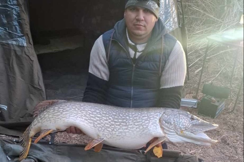 Az ország egyik legnagyobb csukáját fogták ki Emődön, közel 18 kiló!