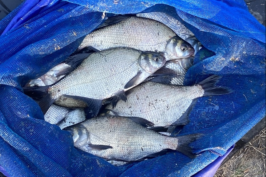 „Lenézett cuccal” fogott 16 kiló keszeget és kárászt a Nagykunságin
