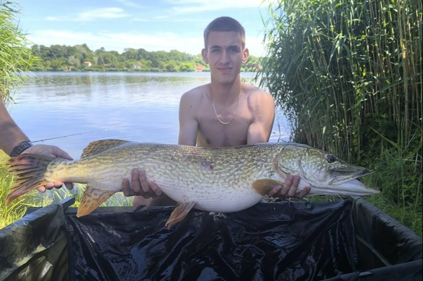 Bődületes csuka csapott le a bojlira a makádi Ezüstparton