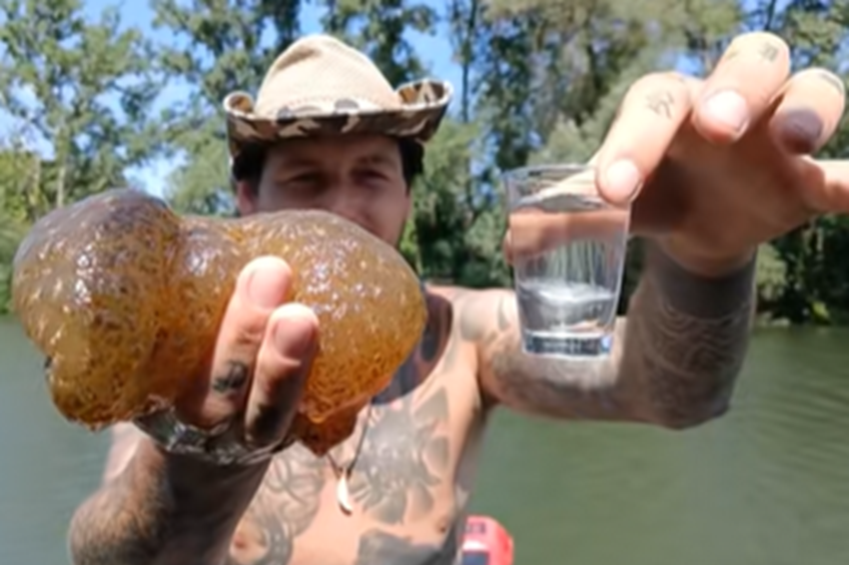 Óriás mohaállatot és édesvízi medúzát fogott egy horgász a Hármas-Körösből – videóval 