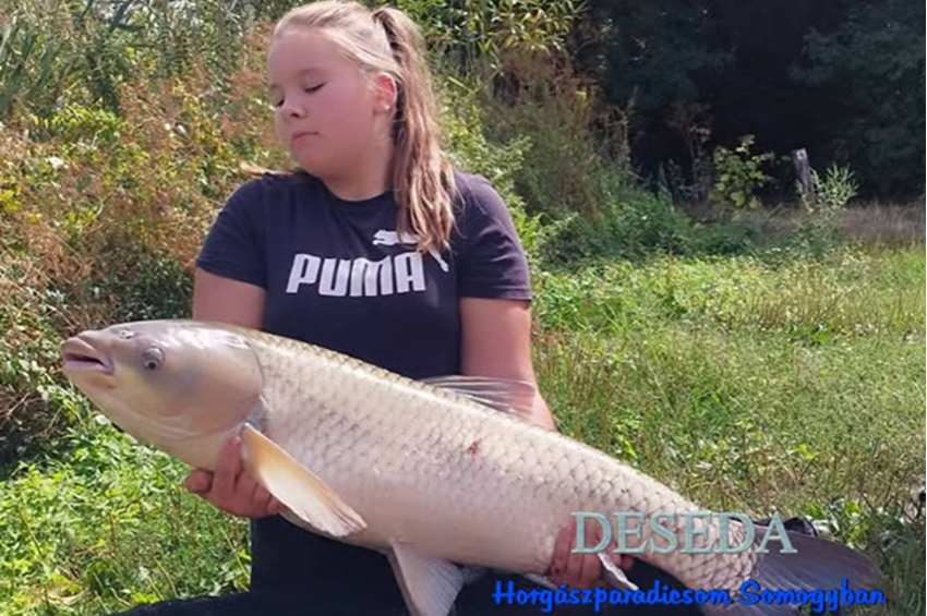 Óriási amurral vitte a prímet a kislány a családi pecán