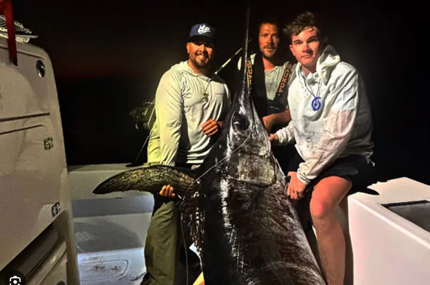 Öt óráig fárasztottak egy 218 kilós kardhalatat Florida Keysnél – videóval 