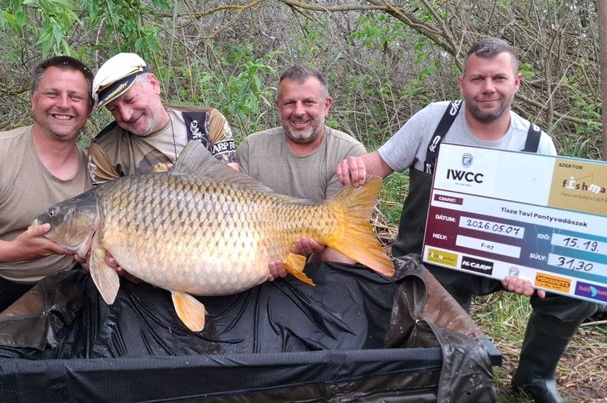 200 gramm híján megdőlt a Tisza-tavi pontyrekord – videóval, fotókkal