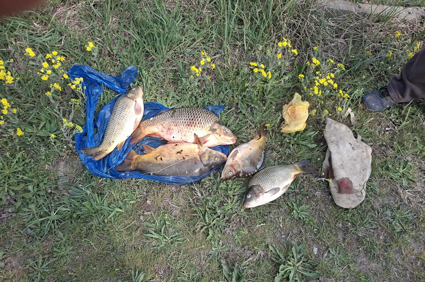 Három hete a fogási naplójával trükközött, most öt ponttyal kapcsolták le – fotókkal