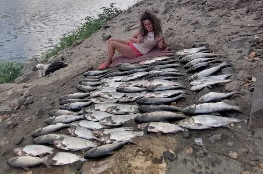 Női pecás tarolta le a Tiszát: 65 darab busát fogott egy horgászat alatt!