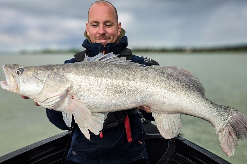 Óriássüllő hálálta meg a kitartó halkeresést a viharos Balatonon 