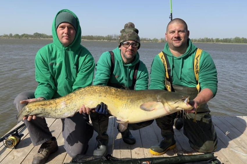 A Catfish4U nyerte a VI. Harcsafogó OB első fordulóját – fotókkal 
