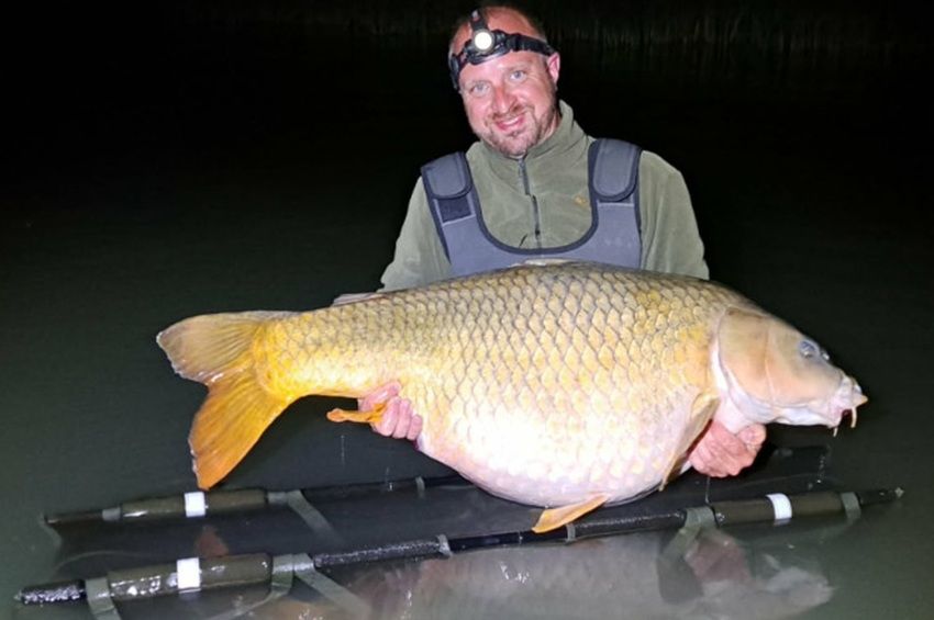 30 pluszos pontyot tereltek partra Balatonfenyvesen
