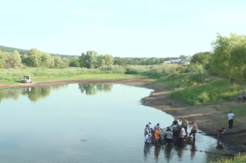 1300 kiló halat mentettek ki a kiszáradó Gida-pataki víztározóból, horgászati tilalmat rendeltek el – videóval