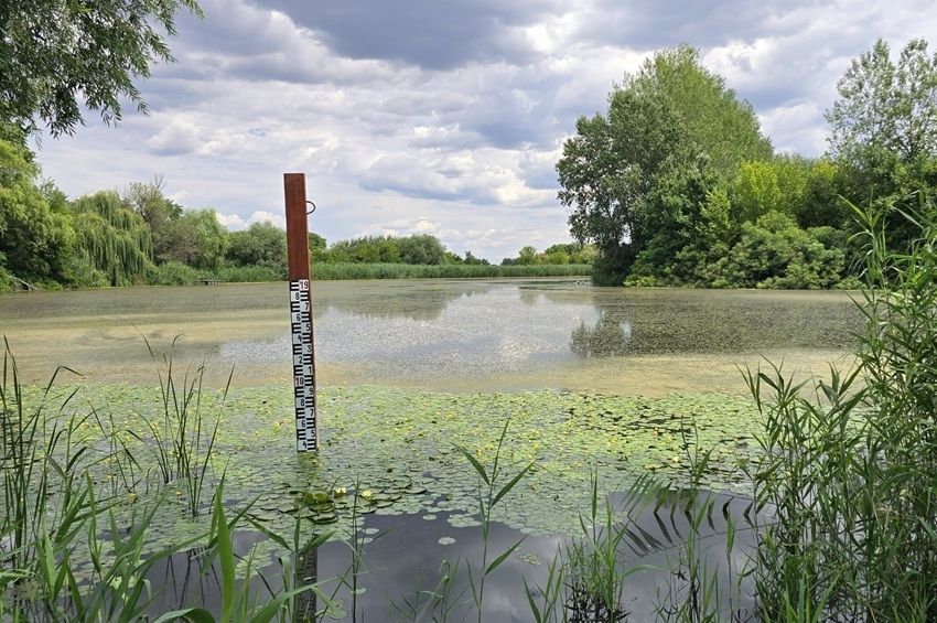 Közel 2 millió köbméter vízzel töltötték fel a Gyova-Mámai Holt-Tiszát – fotókkal