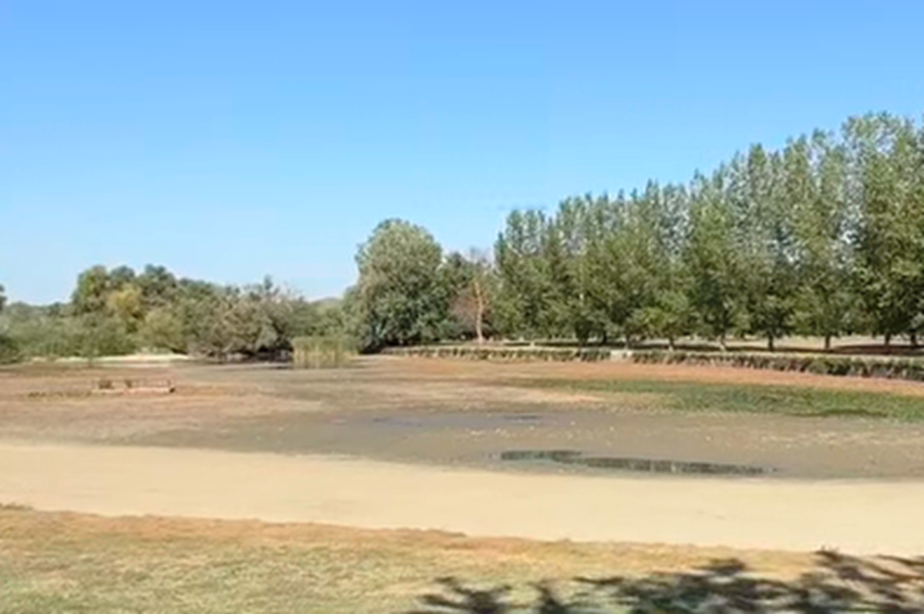 Nem tudták elvégezni az ivadékvizsgálatot a Tisza-tónál – videóval