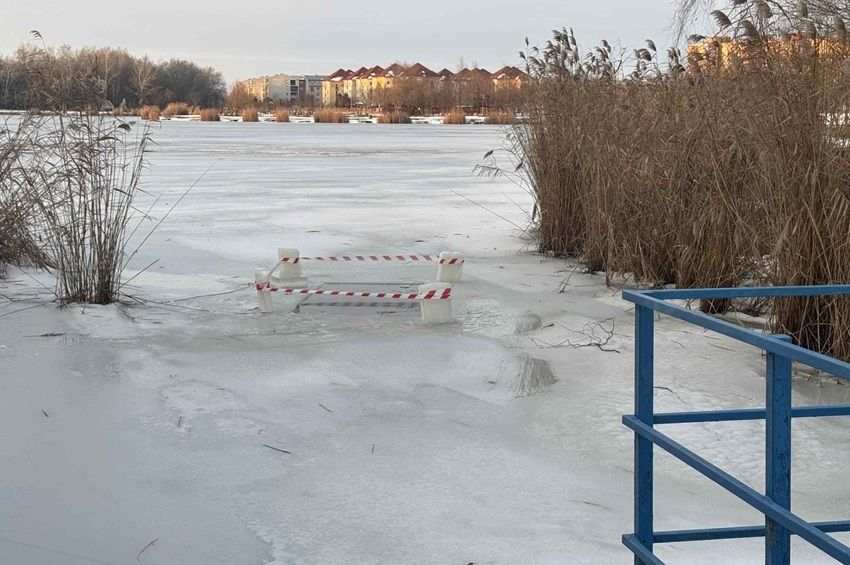 Nagy mennyiségű hal levegőztetése kezdődött a Palotavárosi Felső-tónál – fotókkal 