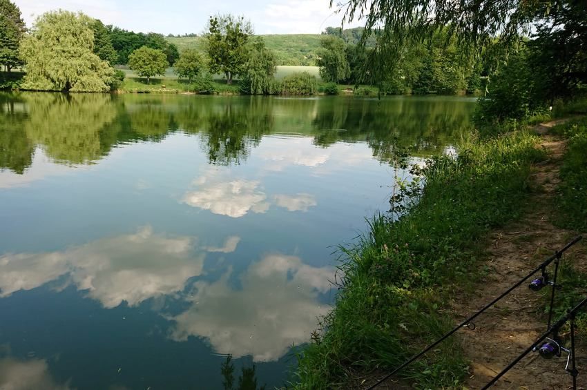 Gyógynövényes tápszerrel etetik a halakat Pusztaszentlászlón