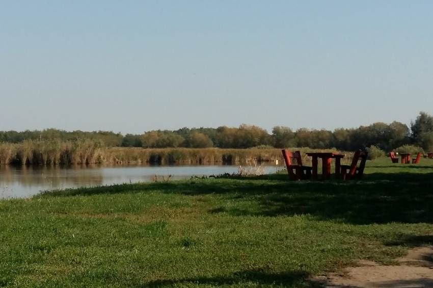 Betelt a pohár a Reed Carp Lake-en: nagy testű halat loptak, jönnek a szigorúbb szabályok