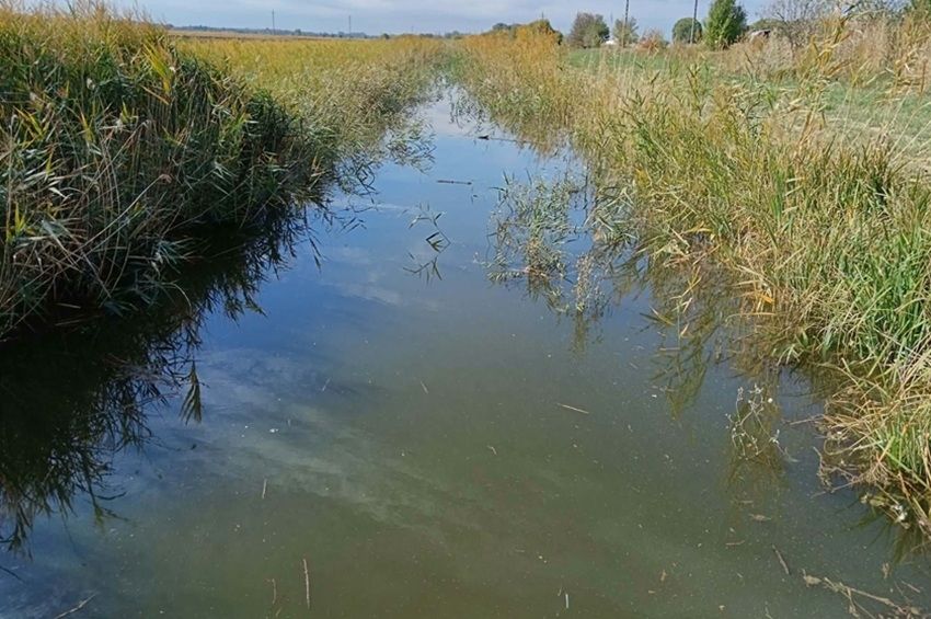 Visszaduzzasztották a Szőny–Füzitői-csatorna vizét, megmenekülhet a halállomány – fotókkal 