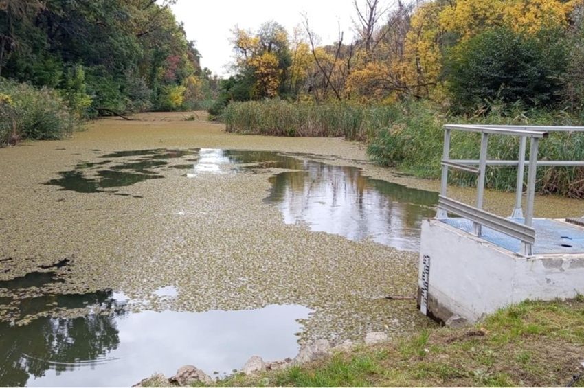Növelik a 160 éves Tisza-holtág vízvisszatartó képességét