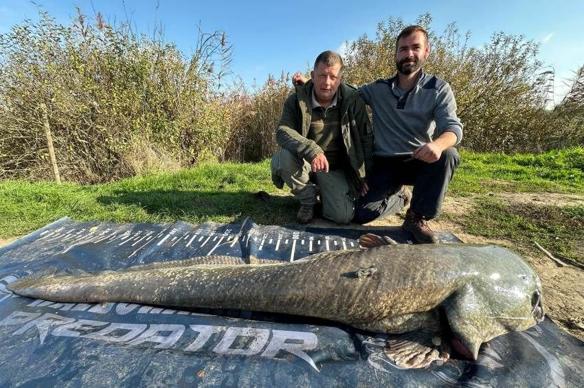 Két óráig forgatta a csónakot a 250 centis harcsa Ohaton – fotókkal, videóval 