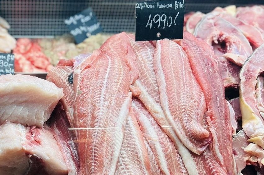Magyarország az Európai Unió legnagyobb afrikaiharcsa-termelője