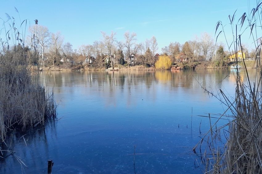 Idén télen sem csökkentik az Alcsi Holt-Tisza vízállását