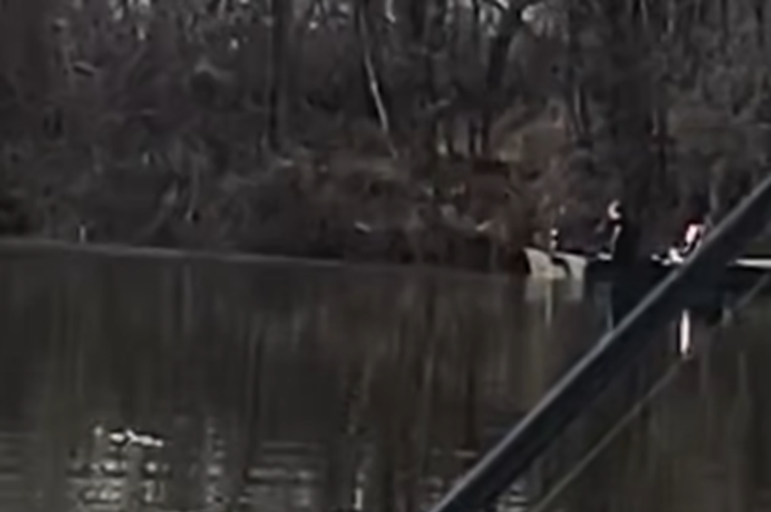 Süllőfészkekre dobáló horgászt vontak felelősségre az Alcsi Holt-Tiszán – videóval 