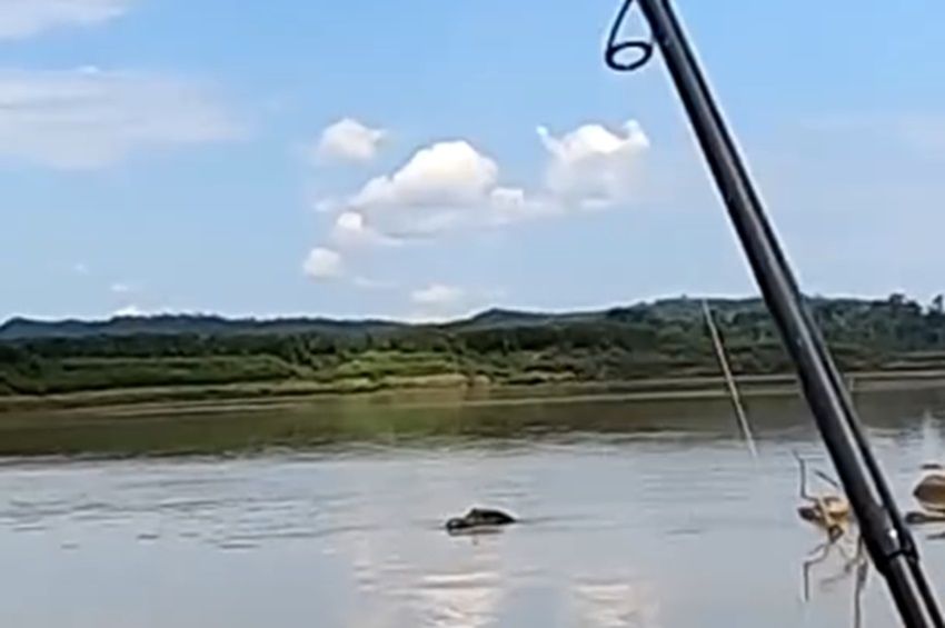 Videó: leesett a pergető álla, amikor meglátta ellenfelét  