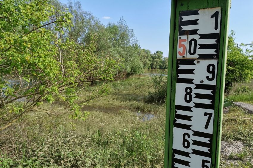 Ötven év alatt a vizes élőhelyek 95 százaléka tűnt el Magyarországon