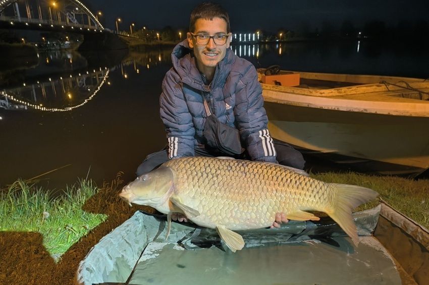 Ragadozó óriásponty rabolt rá a műcsalira a ráckevei hídnál