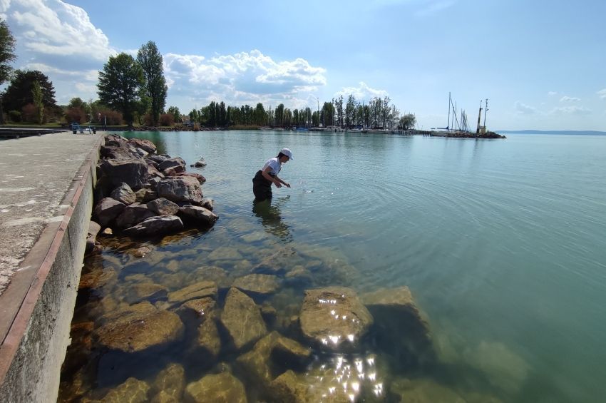 A szokásosnál alacsonyabb az algák biomasszája a Balatonban