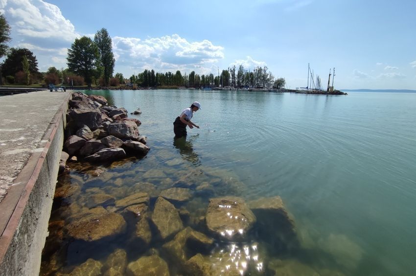 Már a fonalas cianobaktériumok is megjelentek a Balaton nyugati területein