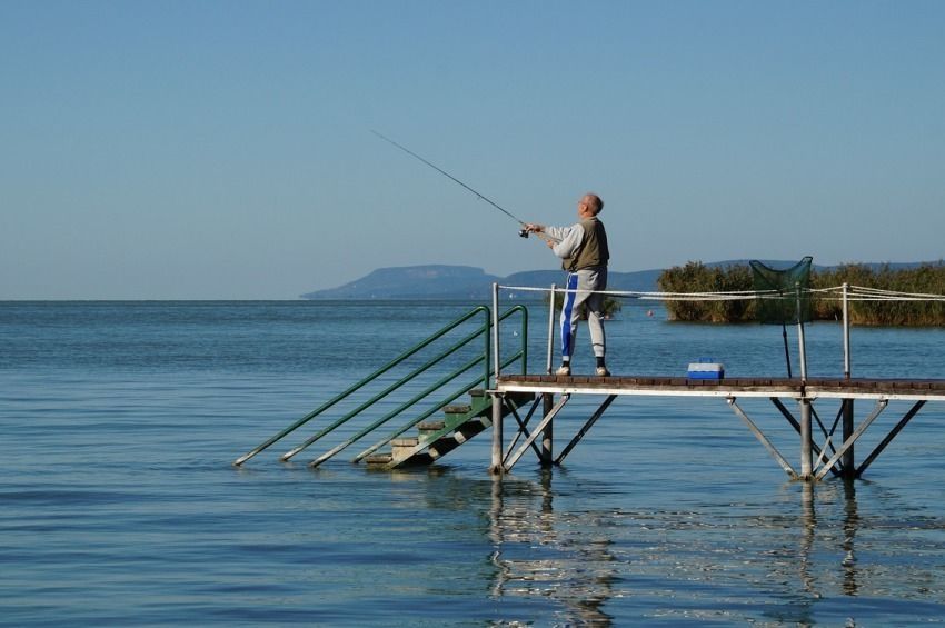 Toronymagasan a Balaton vezeti az állóvizek 2023-as halelviteli statisztikáját