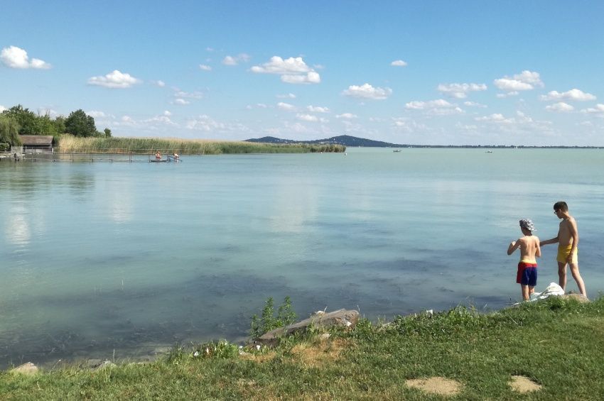 Jó a Balaton vízminősége, algaösszetétele változó