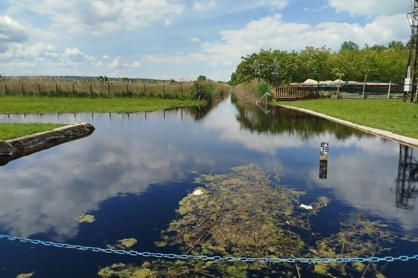 Látványosan nőtt a belvízöblözetek vízszintje a Balaton déli partján – fotókkal 