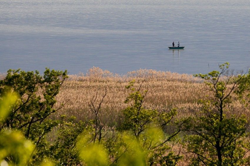 Komoly figyelmeztetés érkezett a Balatonnal kapcsolatban