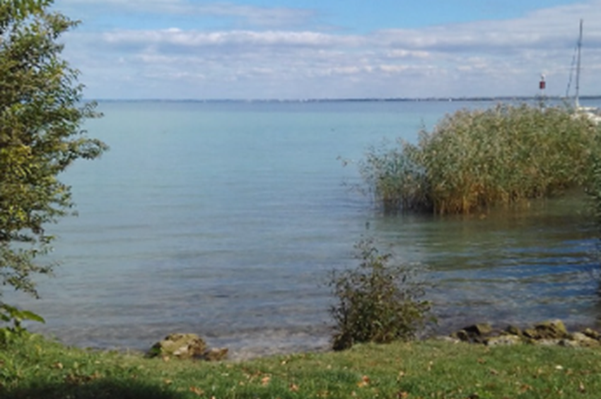 Hét pontban sorolták fel a kutatók, mi a legnagyobb baj a Balatonnal