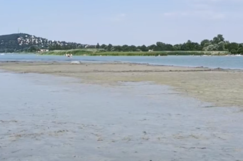 Új sziget jött jelent a Balatonban – videóval  