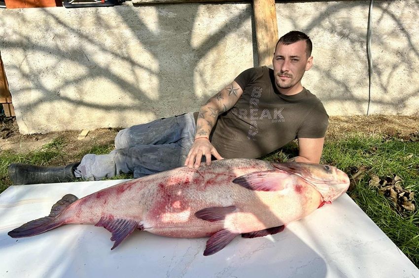 Megérkezett a partra, két perc múlva már a tó veteránjával küzdött – fotókkal