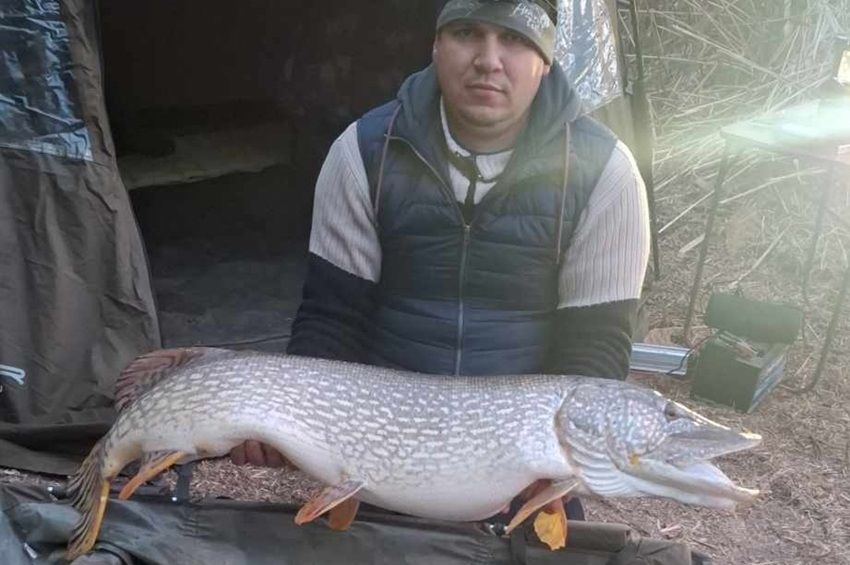 Az ország egyik legnagyobb csukáját fogták ki Emődön, közel 18 kiló!