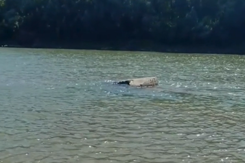 Hatalmas betontömb bukkant elő a Tiszából Nagykörűnél – videóval  