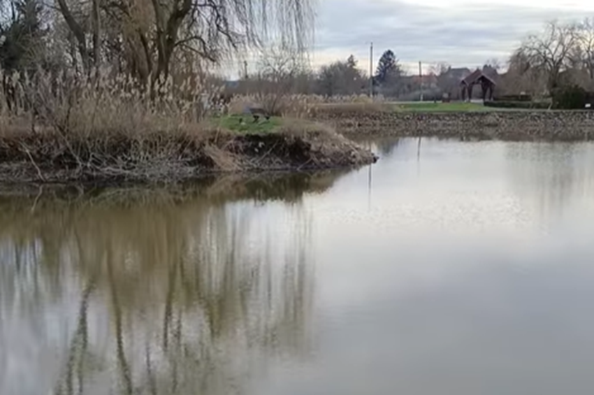 Újra van víz a 2022-ben kiszáradt bicsérdi horgásztóban – fotókkal, videóval