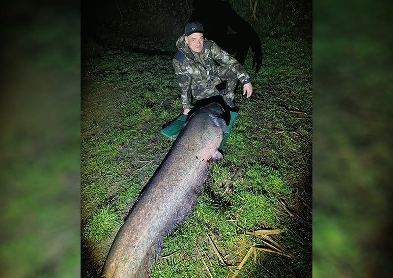 80 kilós harcsát fogott Borkai Zsolt a Marcal-tavon