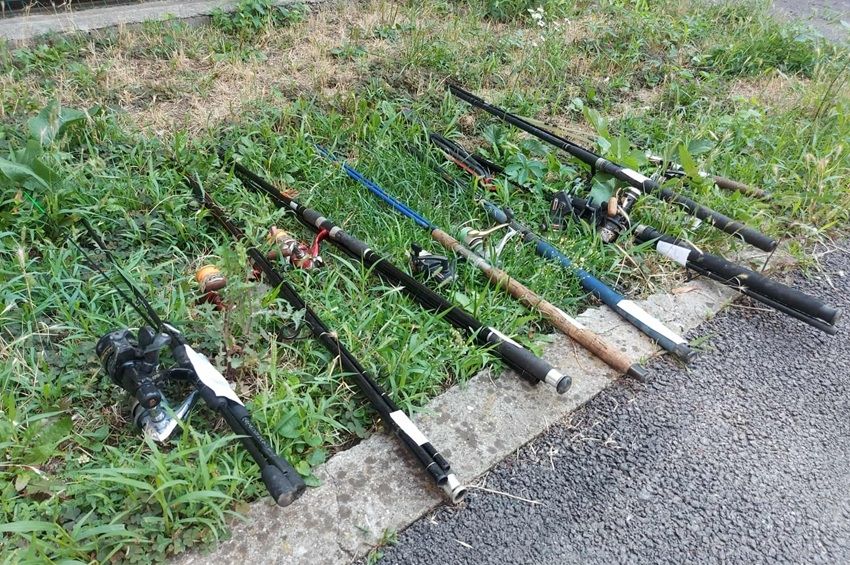 Rapsicdömpinggel szembesültek a borosdi halőrök augusztusban – fotókkal