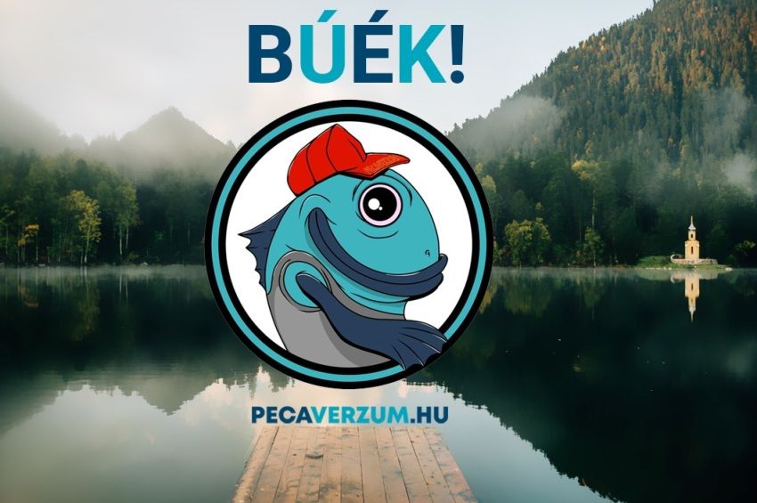 Boldog új évet kíván a Pecaverzum!