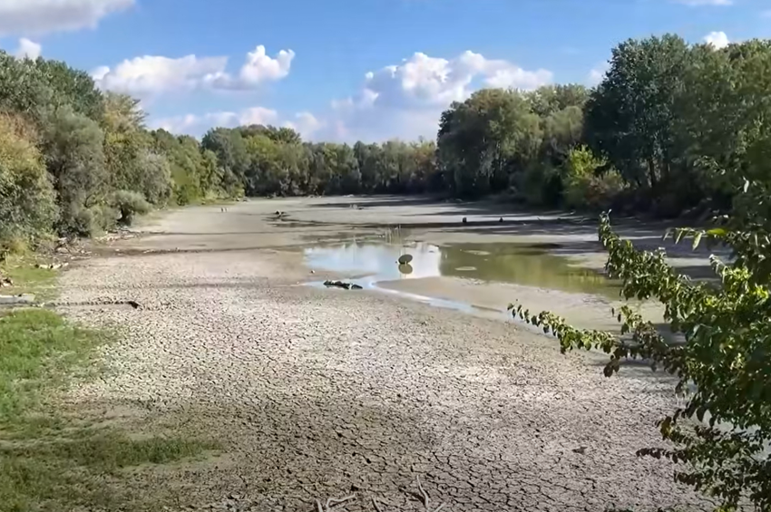 Kiszáradt a váci Buki-tó alsó része, milliók kellenek a zsilip javításához – videóval 