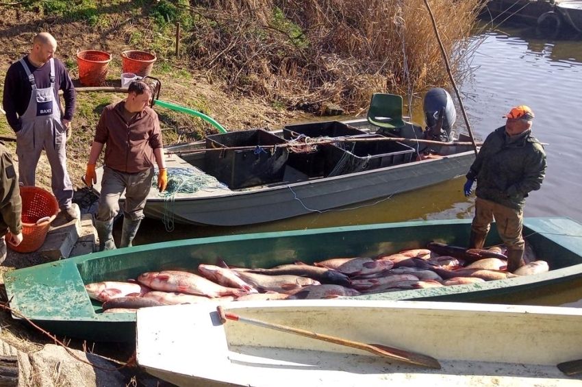 A horgászok is segíthetnek a busahalászatban az Atkai Holt-Tiszán