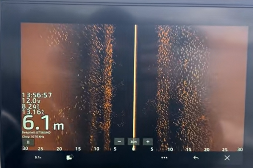 Ezres nagyságrendben csődültek össze a busák az RSD-n – videóval