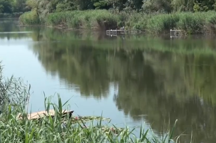 Belefulladt a Cibakházi Holt-Tiszába egy 47 éves férfi – videóval 