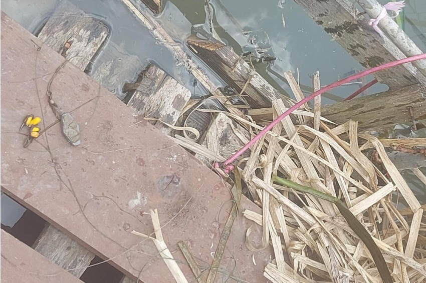 8 kilós harcsával bukott le a csapóhorgos orvhalász a Balatonnál