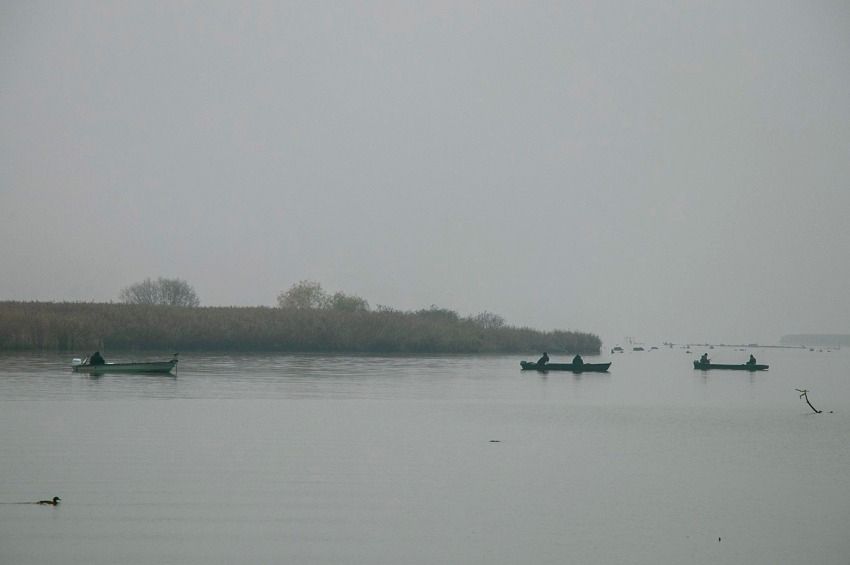 Limitálták a horgászati időt a Tisza-tónál, tévesen jelentek meg a területi jegyárak