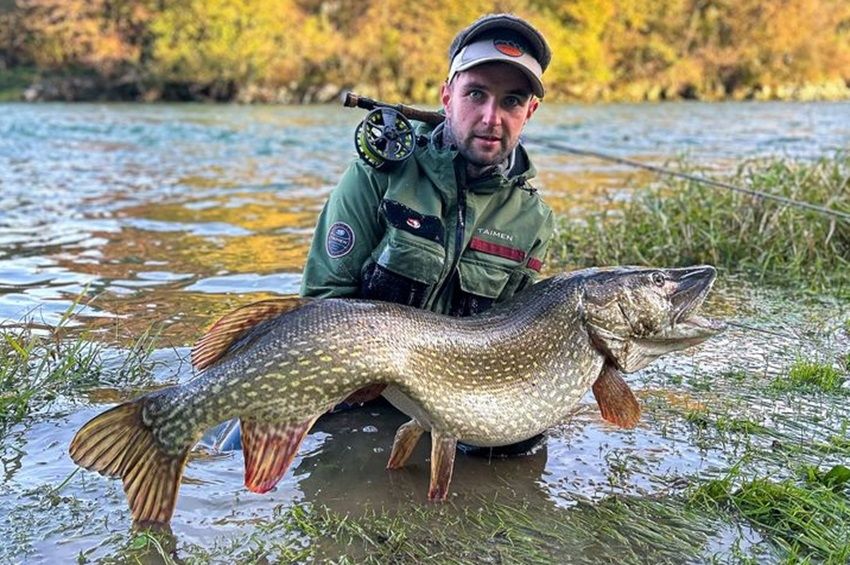 Majdnem az összes zsinórt elvitte a legyezve fogott rekordcsuka Szlovéniában